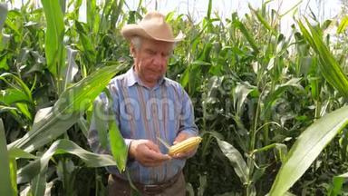 一位年迈的农民在手工玉米谷物中扭动的肖像